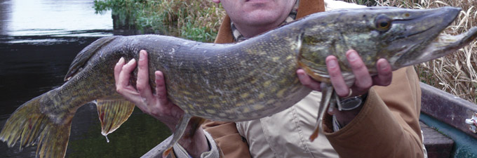 peche au brochet Irlande